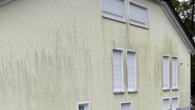 Fassadenreinigung Brand - Fassade2